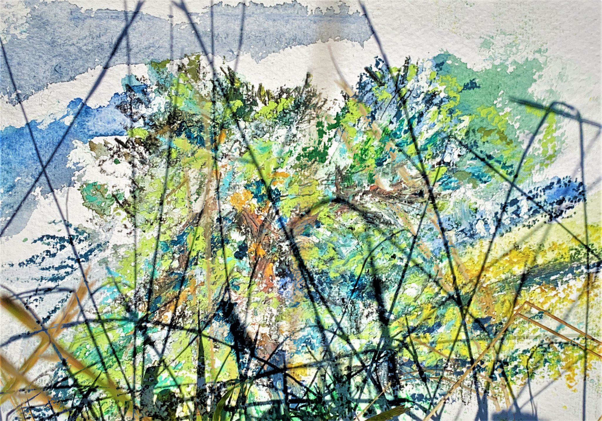 Gras mit Landschaft gegen Osten